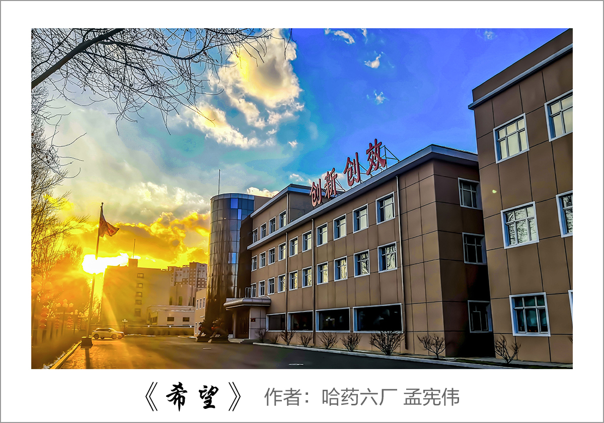 【迎国庆 展风采】我眼中的yl23411永利——职工摄影大赛作品展示！